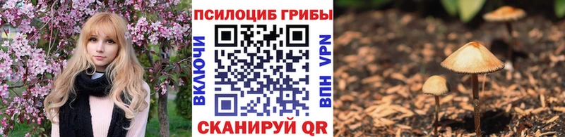 Псилоцибиновые грибы мицелий  Горбатов 